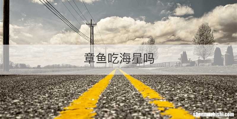 章鱼吃海星吗