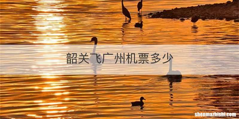 韶关飞广州机票多少