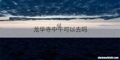 龙华寺中午可以去吗
