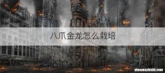 八爪金龙怎么栽培