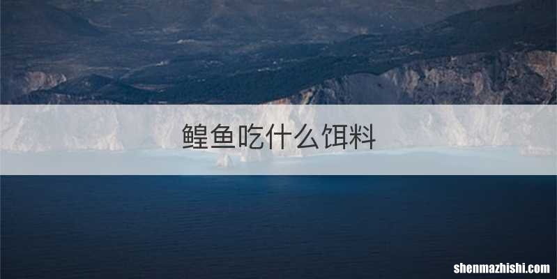 鳇鱼吃什么饵料