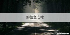 鲟鳇鱼吃啥