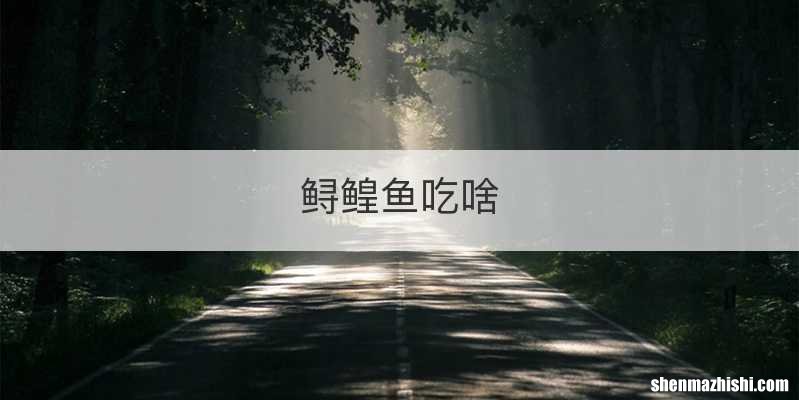 鲟鳇鱼吃啥