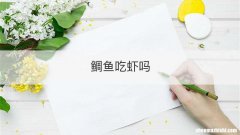 鲷鱼吃虾吗