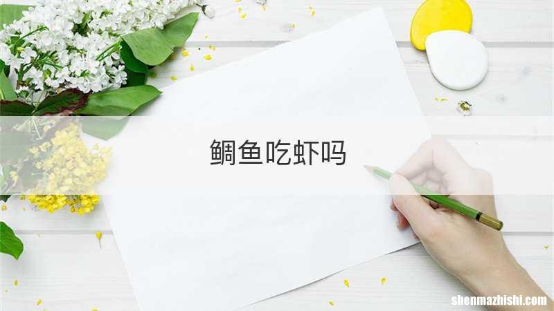 鲷鱼吃虾吗