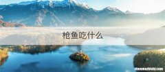 枪鱼吃什么
