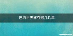 巴西世界杯夺冠几几年