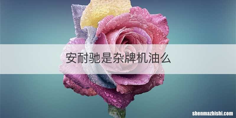 安耐驰是杂牌机油么