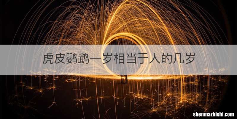 虎皮鹦鹉一岁相当于人的几岁