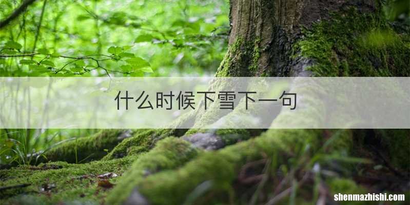 什么时候下雪下一句
