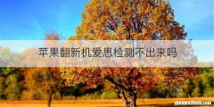 苹果翻新机爱思检测不出来吗