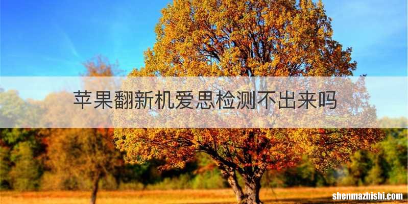 苹果翻新机爱思检测不出来吗