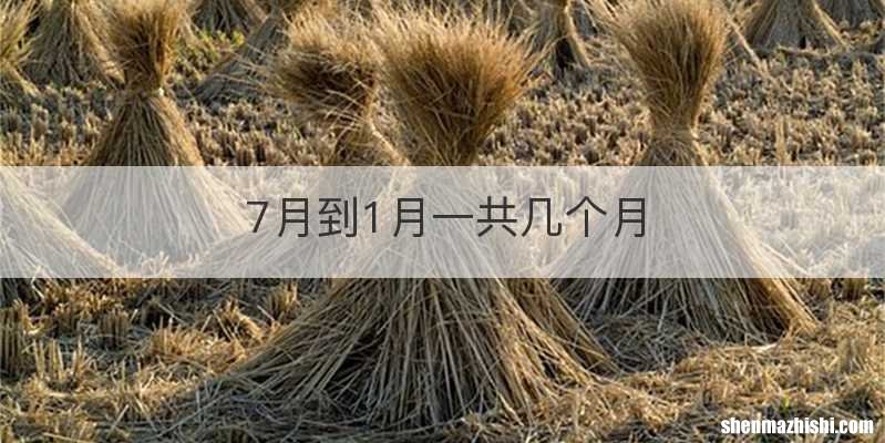 7月到1月一共几个月