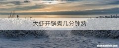 大虾开锅煮几分钟熟