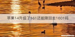 苹果14升级了161还能降回去1601吗