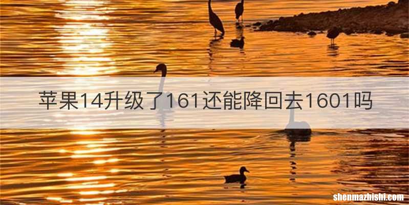 苹果14升级了161还能降回去1601吗