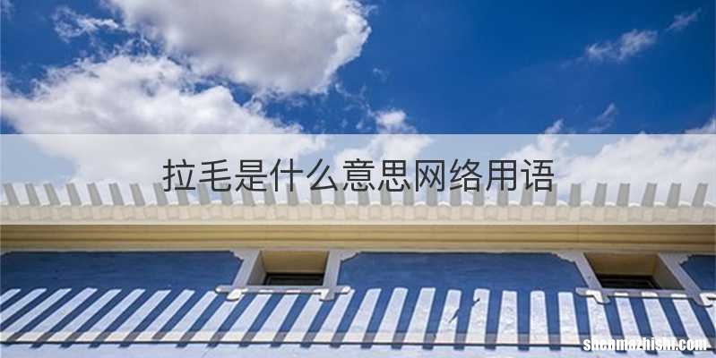 拉毛是什么意思网络用语