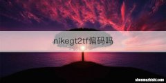 nikegt2tf偏码吗