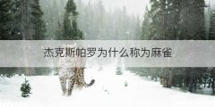 杰克斯帕罗为什么称为麻雀
