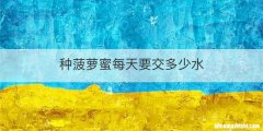 种菠萝蜜每天要交多少水