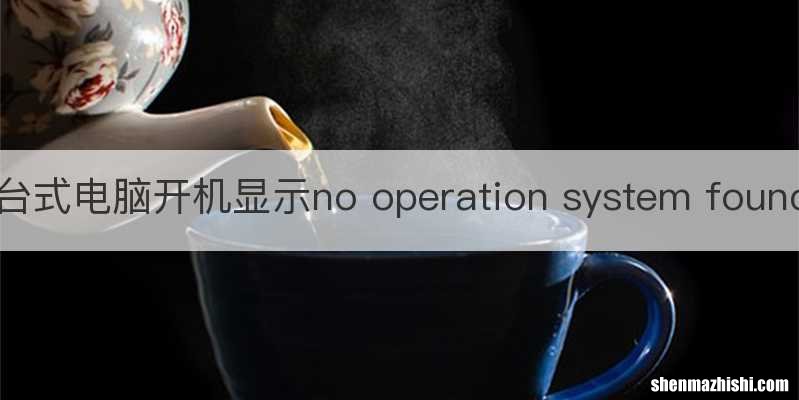 台式电脑开机显示no operation system found