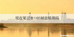 现在笔记本165赫兹够用吗