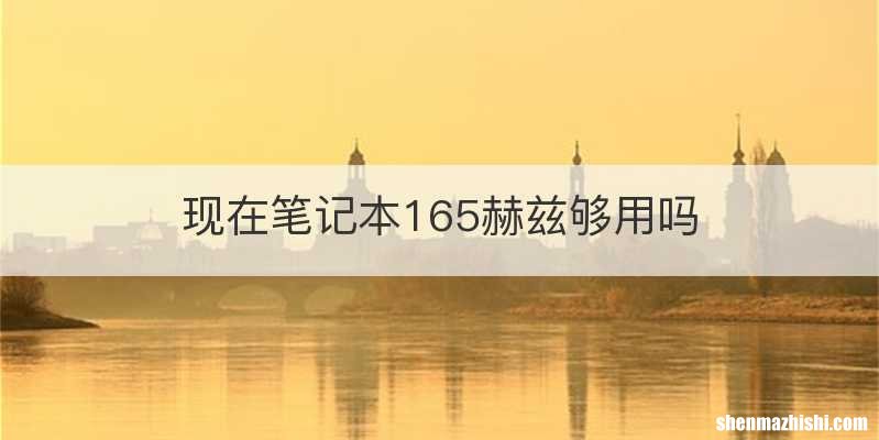 现在笔记本165赫兹够用吗