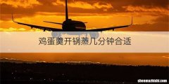 鸡蛋羹开锅蒸几分钟合适