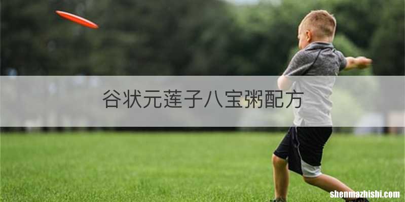 谷状元莲子八宝粥配方