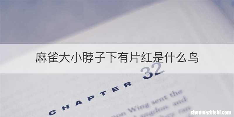 麻雀大小脖子下有片红是什么鸟