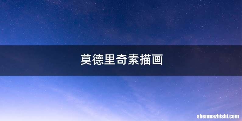 莫德里奇素描画