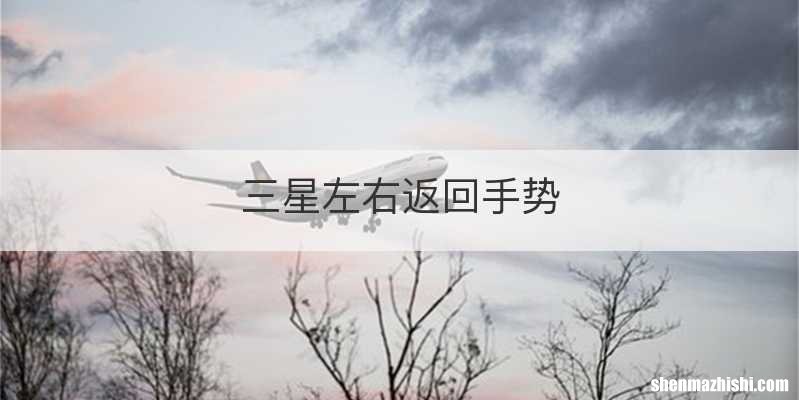 三星左右返回手势