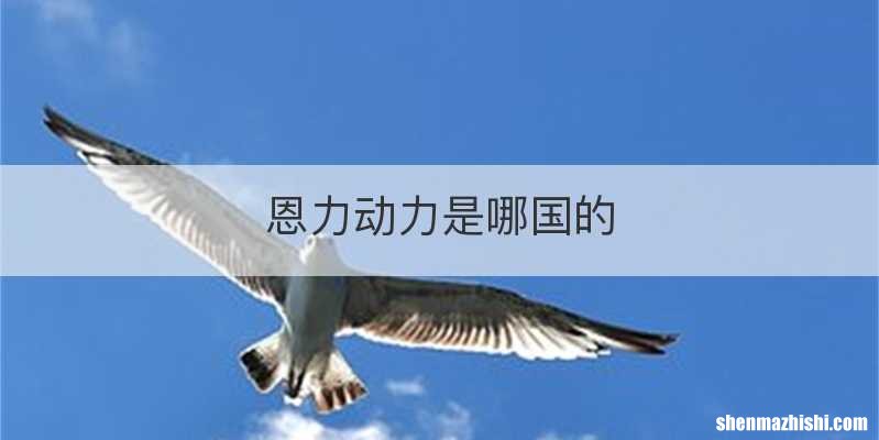 恩力动力是哪国的