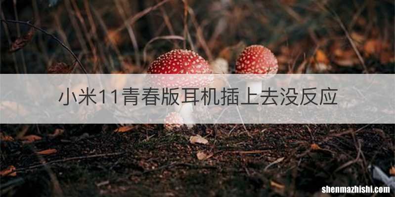 小米11青春版耳机插上去没反应