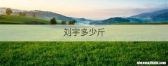 刘宇多少斤