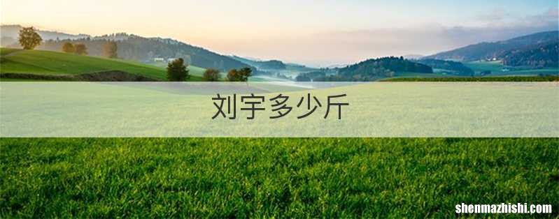 刘宇多少斤
