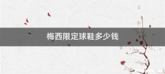 梅西限定球鞋多少钱