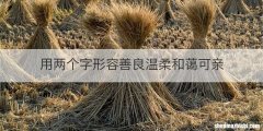用两个字形容善良温柔和蔼可亲