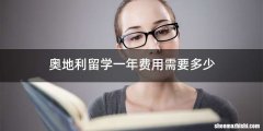奥地利留学一年费用需要多少