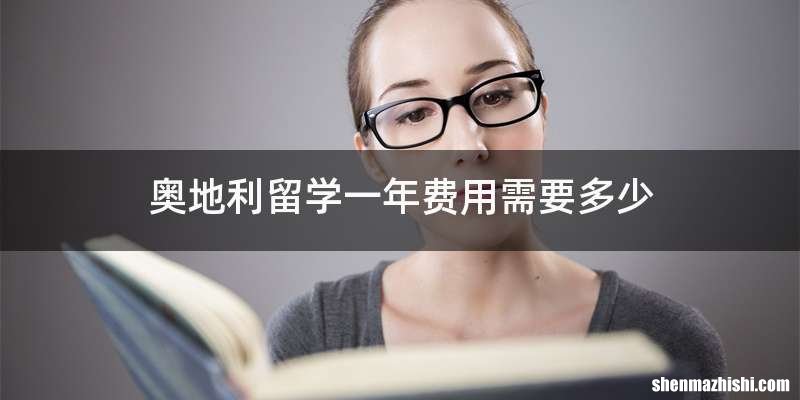奥地利留学一年费用需要多少