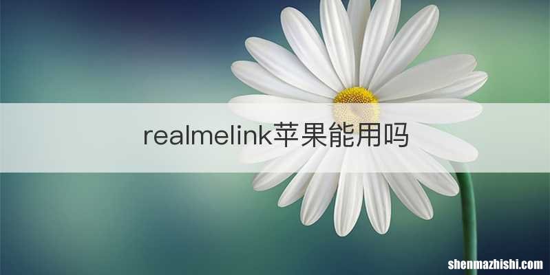 realmelink苹果能用吗