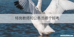 特岗教师和公务员哪个好考