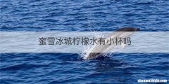 蜜雪冰城柠檬水有小杯吗