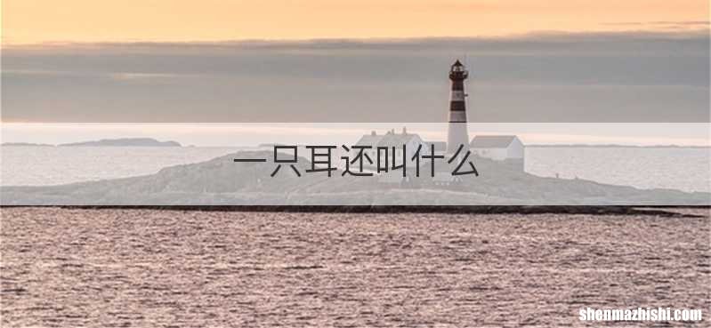 一只耳还叫什么