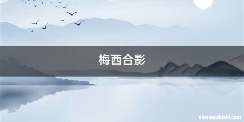 梅西合影