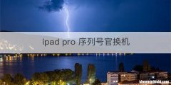ipad pro 序列号官换机