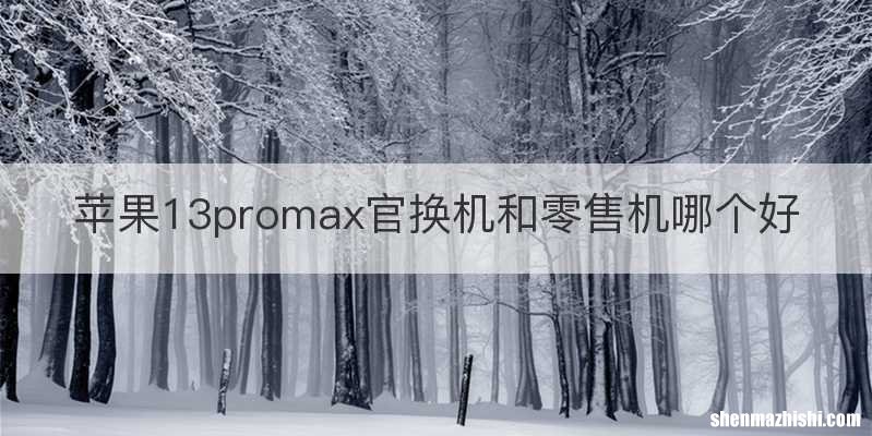 苹果13promax官换机和零售机哪个好