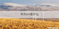 华为tnt是什么
