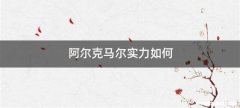 阿尔克马尔实力如何
