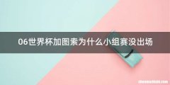 06世界杯加图索为什么小组赛没出场